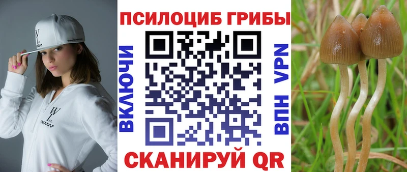 Купить где  Мыски  Псилоцибиновые грибы MAGIC MUSHROOMS 